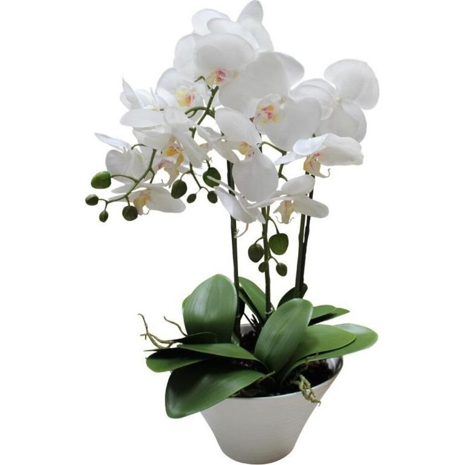 Imitation Orchid Elegant White