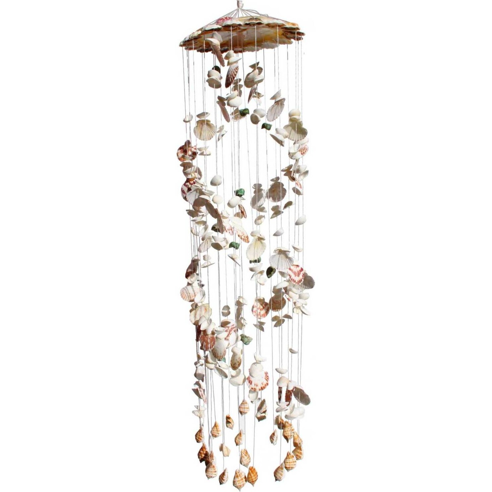Shell Windchime Spiral Colour