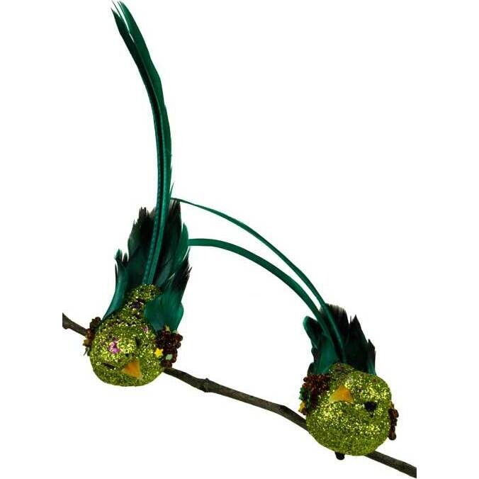 Clip Bird Tailfeather Green