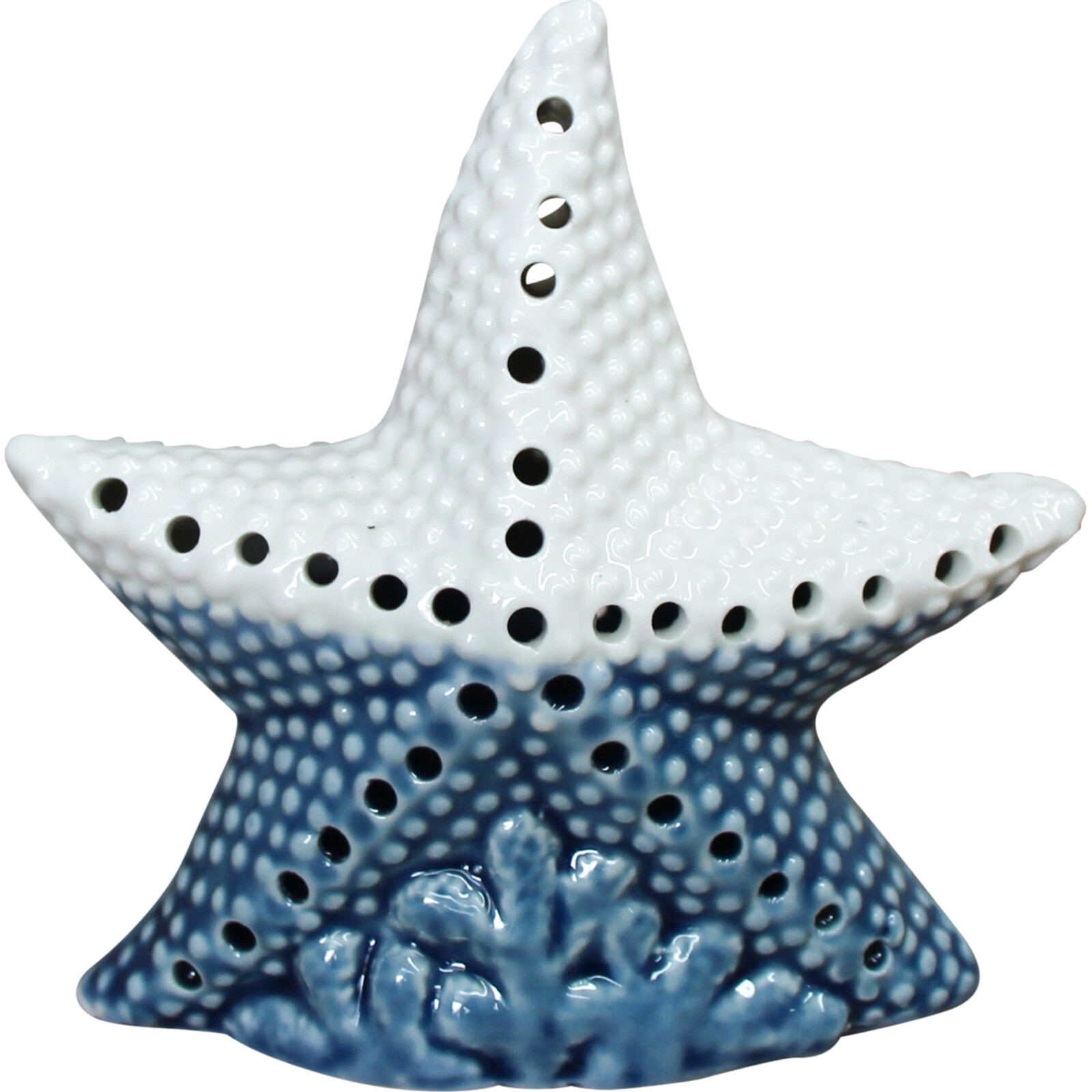 LED Starfish Blue/ White