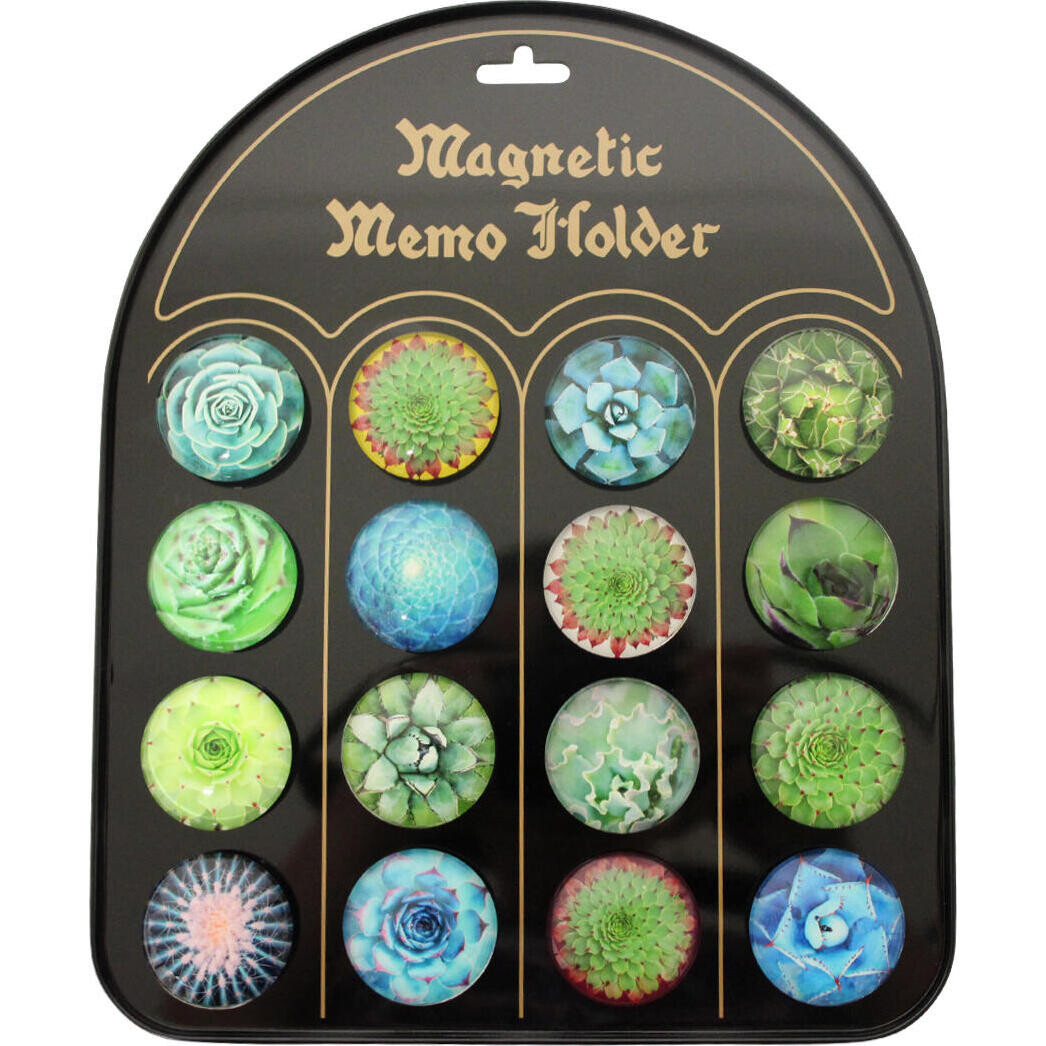 Magnets Succulents S/16