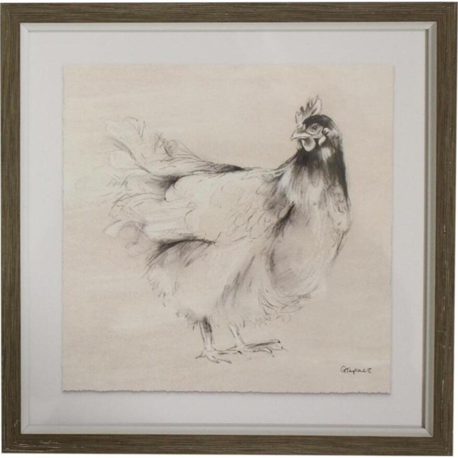 Framed Print Hen Drawing