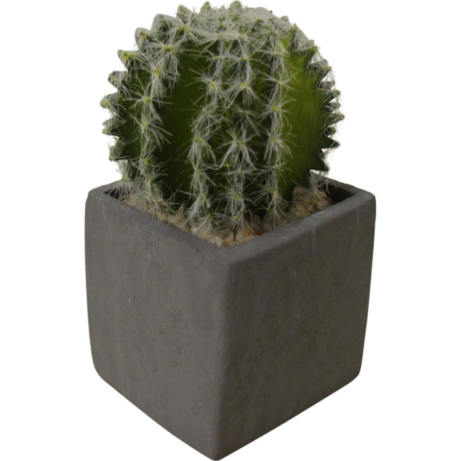 Fake Fluffy Cacti