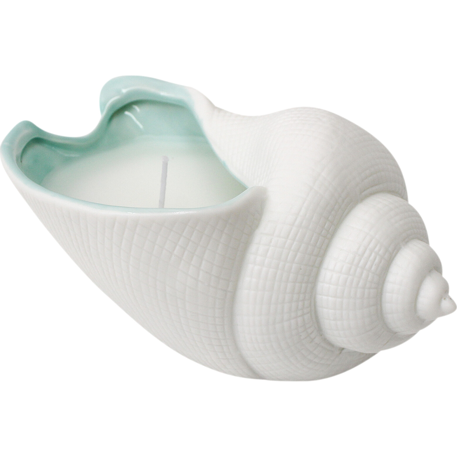 Candle Tulip Shell Seafoam