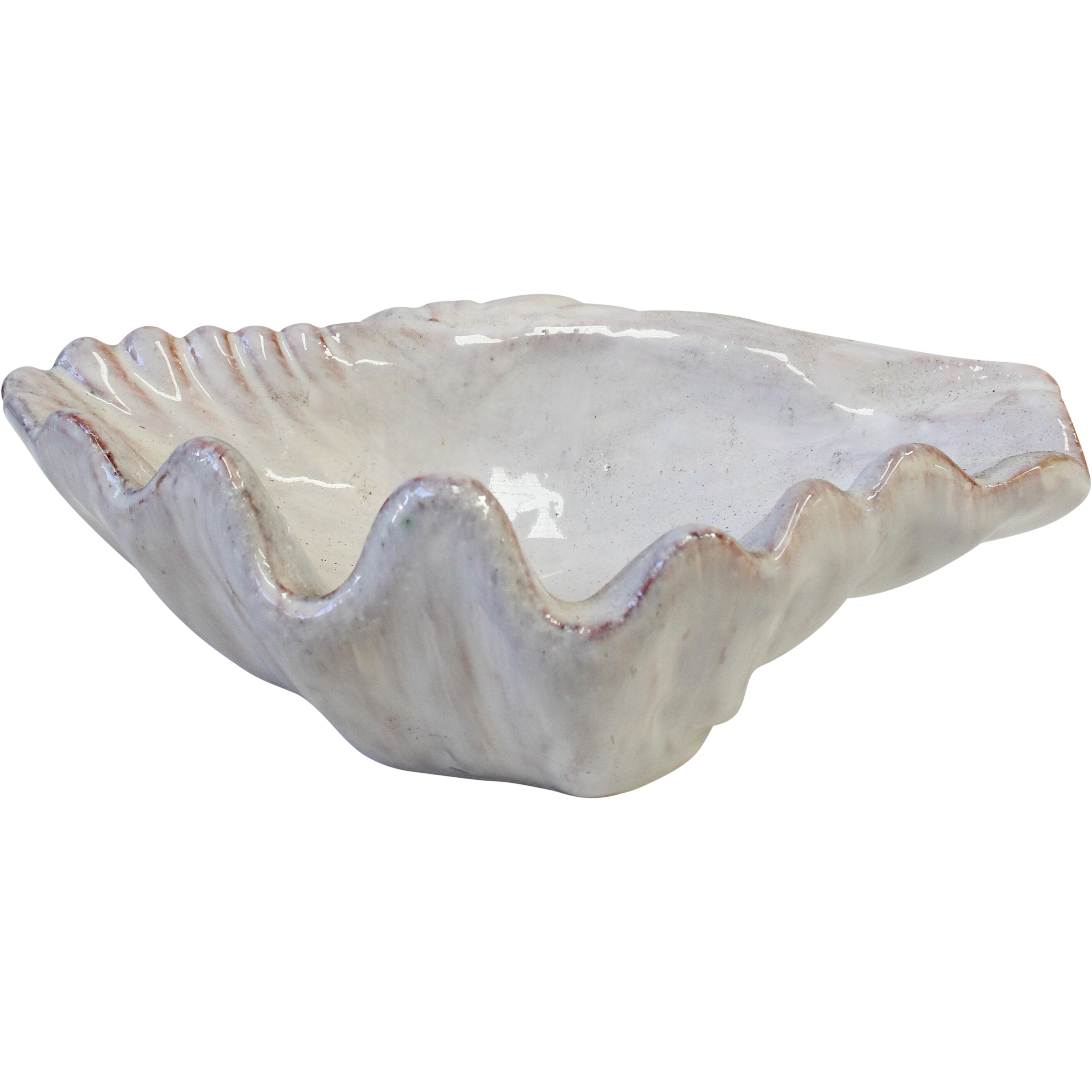 Shell Dish Ivory Lrg