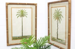 Code HM7203-2