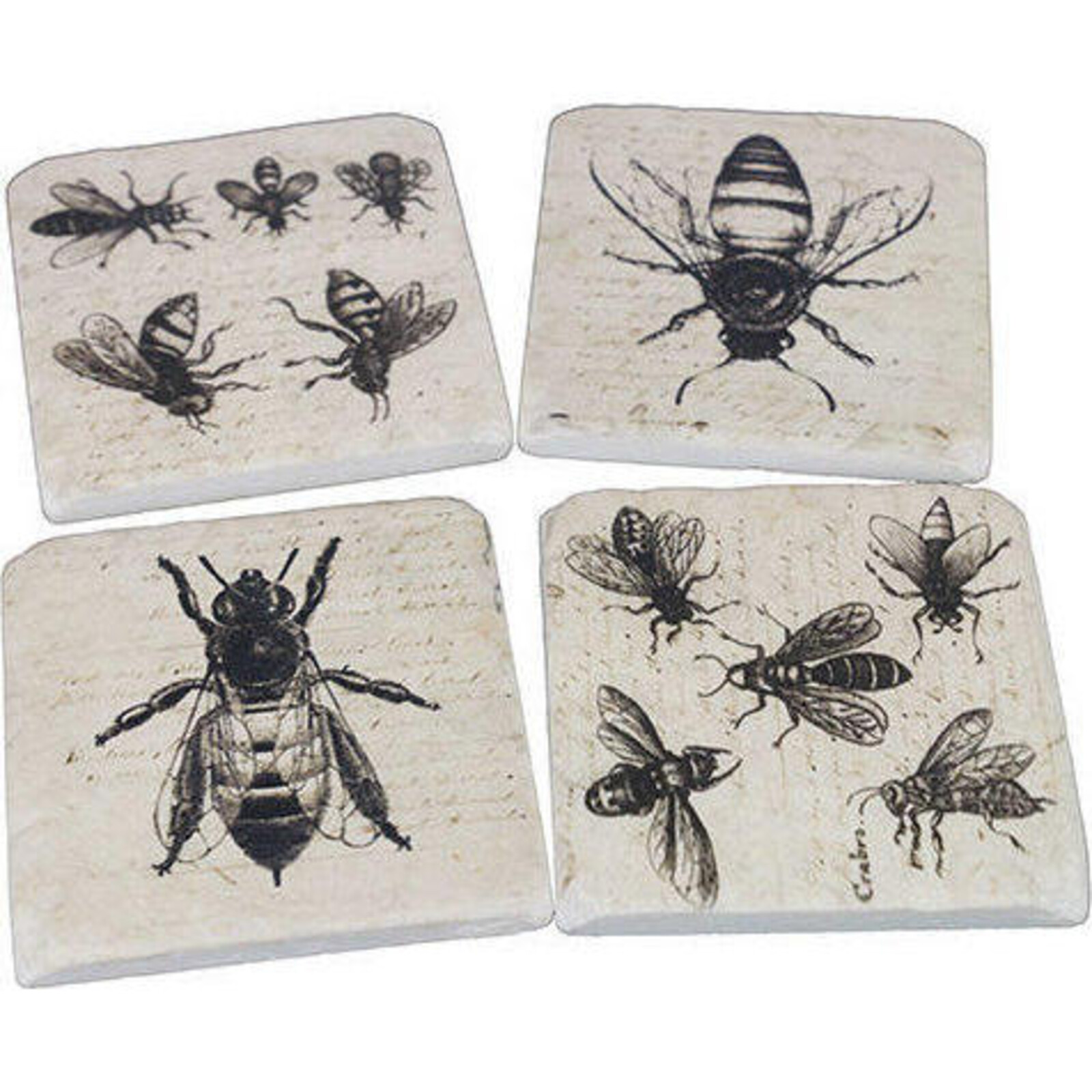 Coasters French Bee