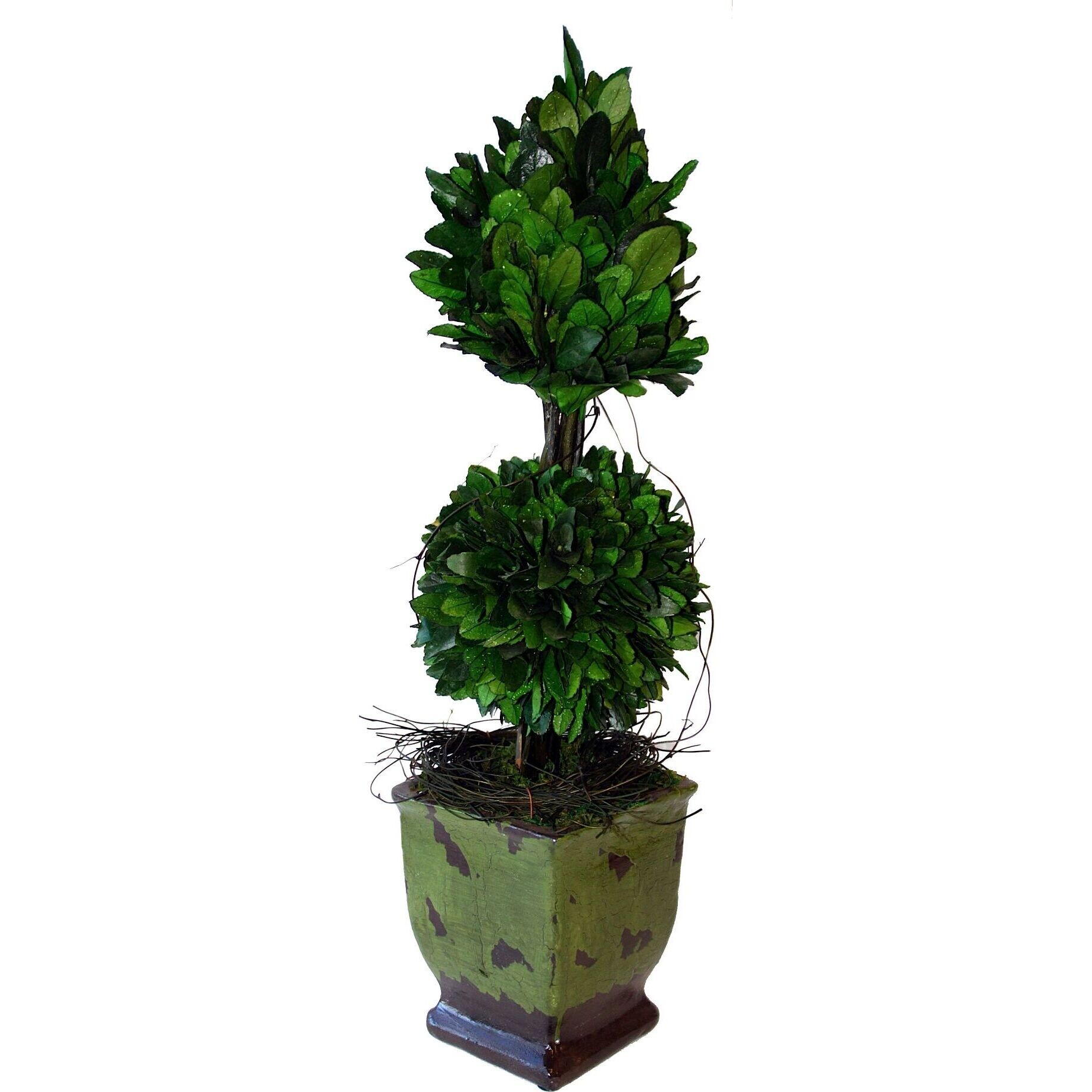 Topiary Verdi - Double