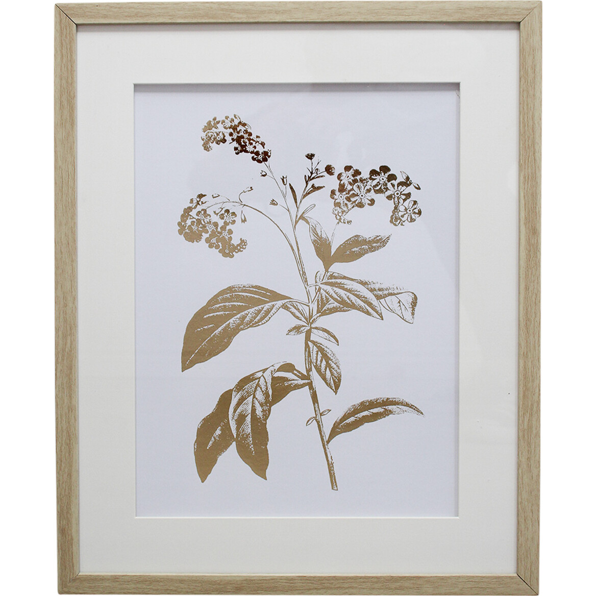 Framed Print Foliage 2