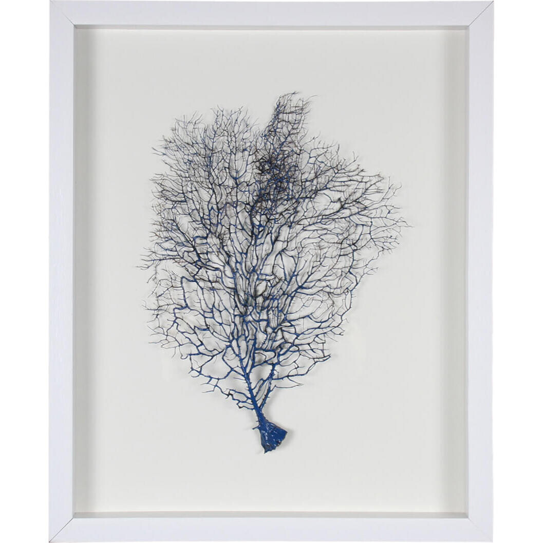 Framed Coral Wall Art Navy