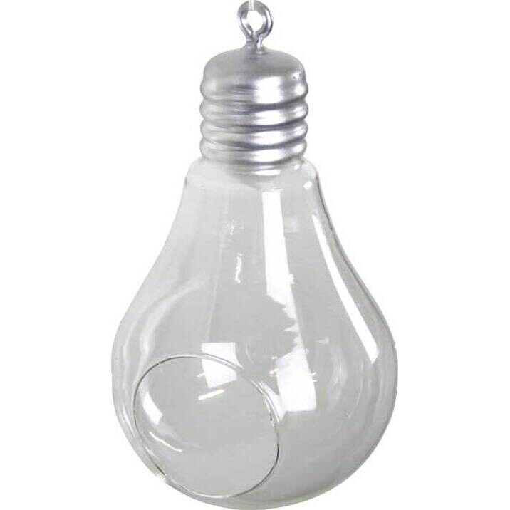 Hanging Bulb Small