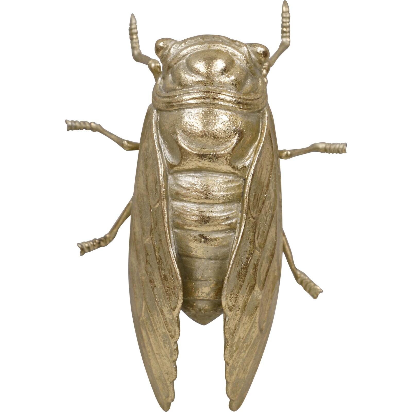 Cicada Gold