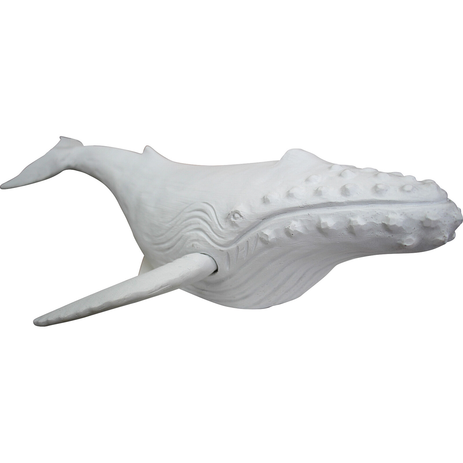 Majestic Whale White Med