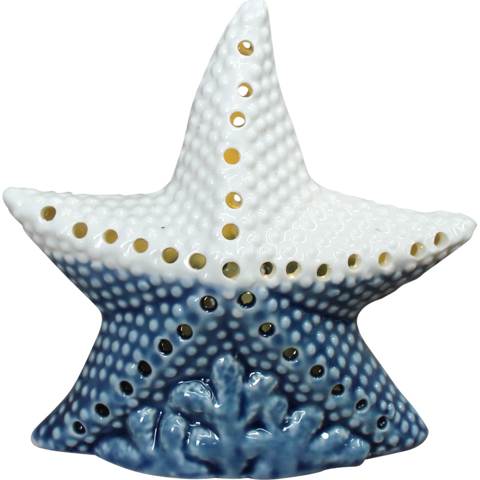 LED Starfish Blue/ White