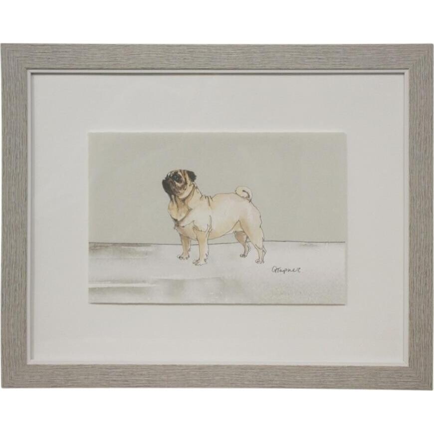 Framed Print Pug