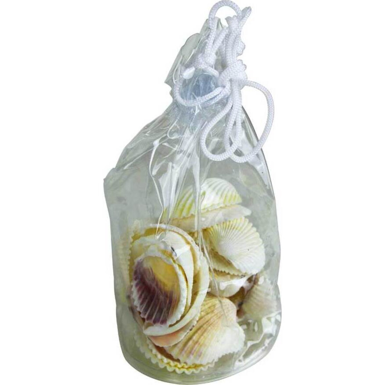 Shell Bag Scallop White