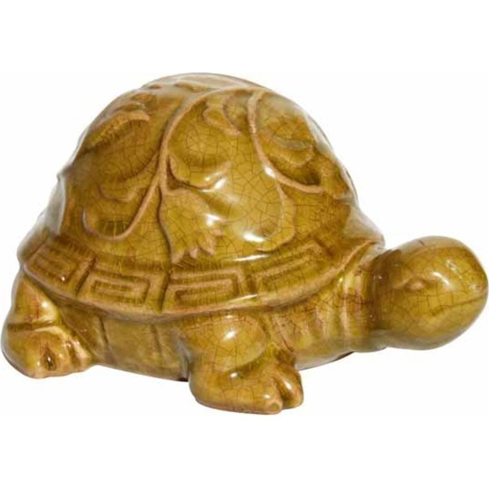 Single Turtle