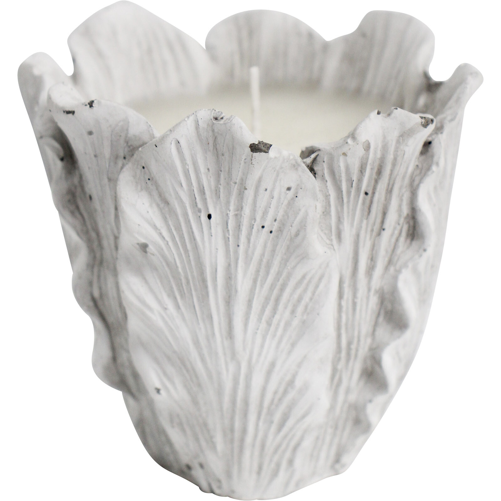 Candle Foliose Coral