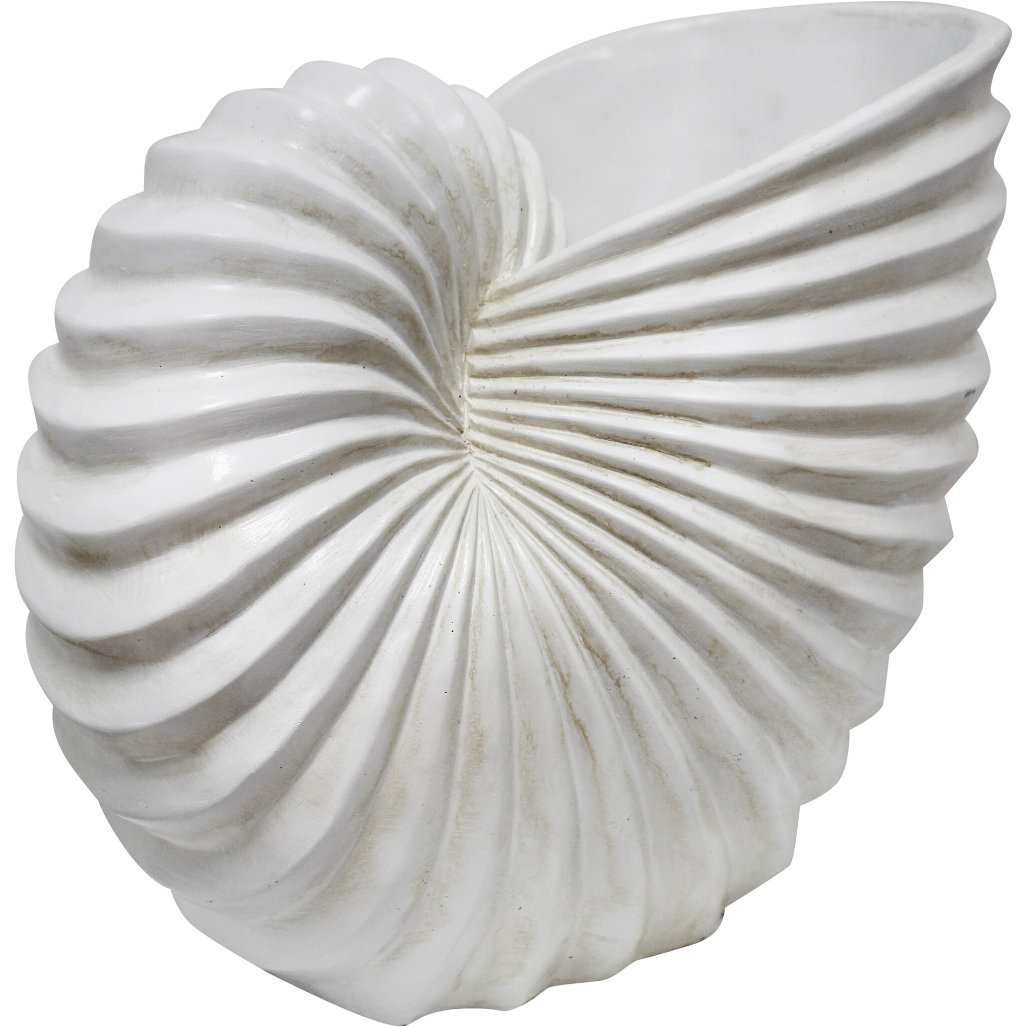 Large Shell