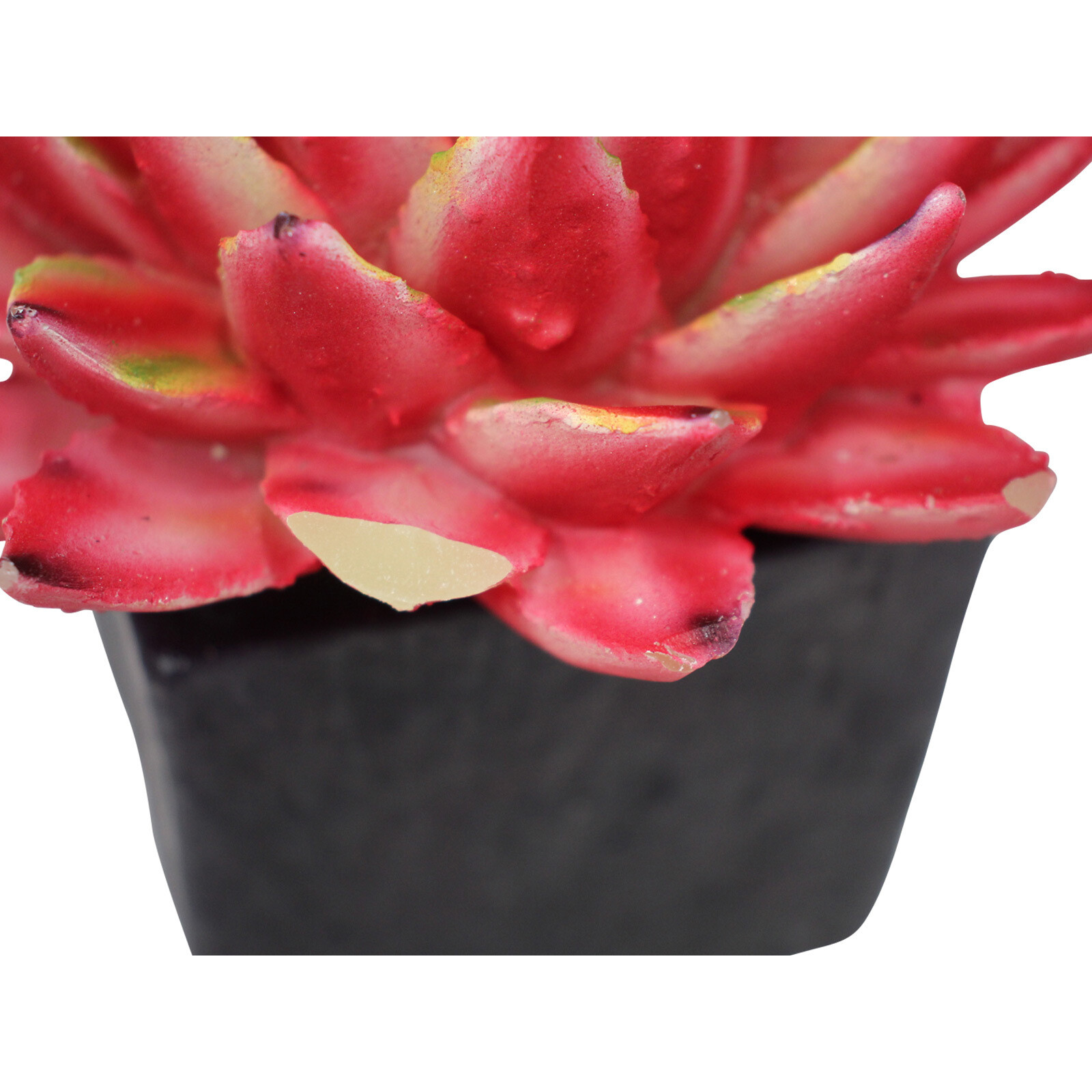 Candle Succulent Pot Burg 