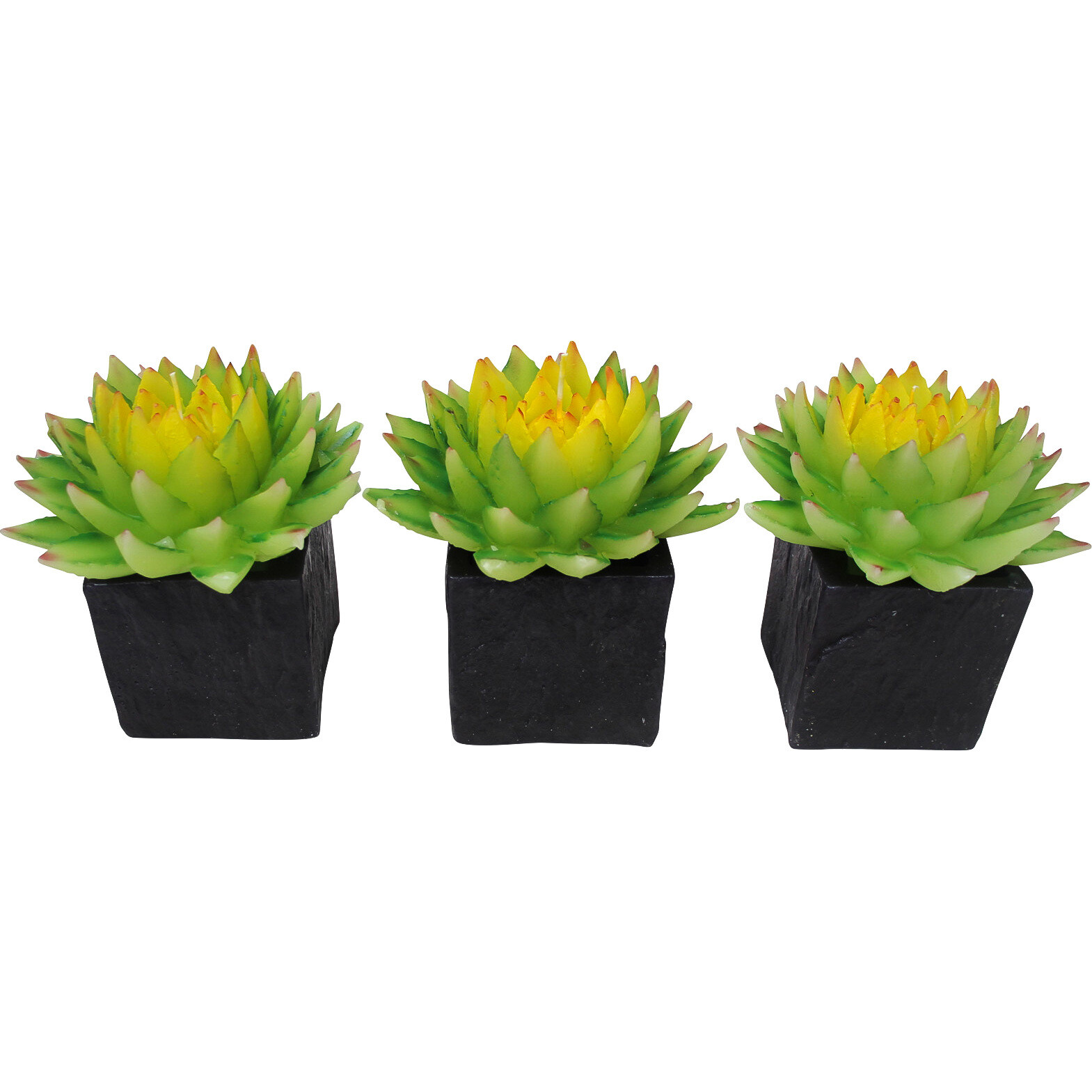 Candle Succulent Sq Pot 