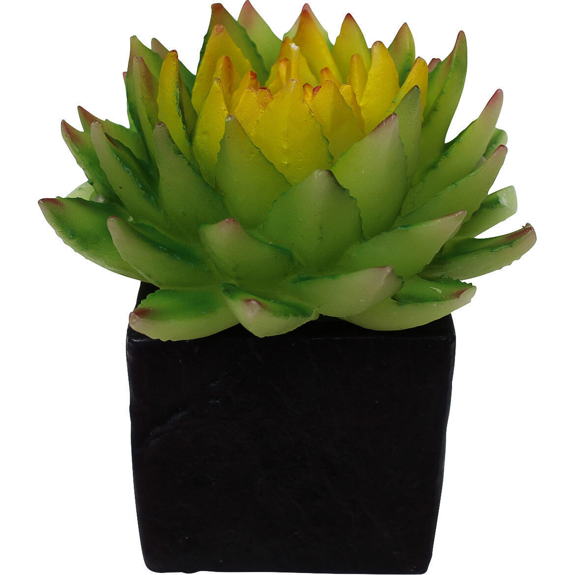 Candle Succulent Sq Pot 