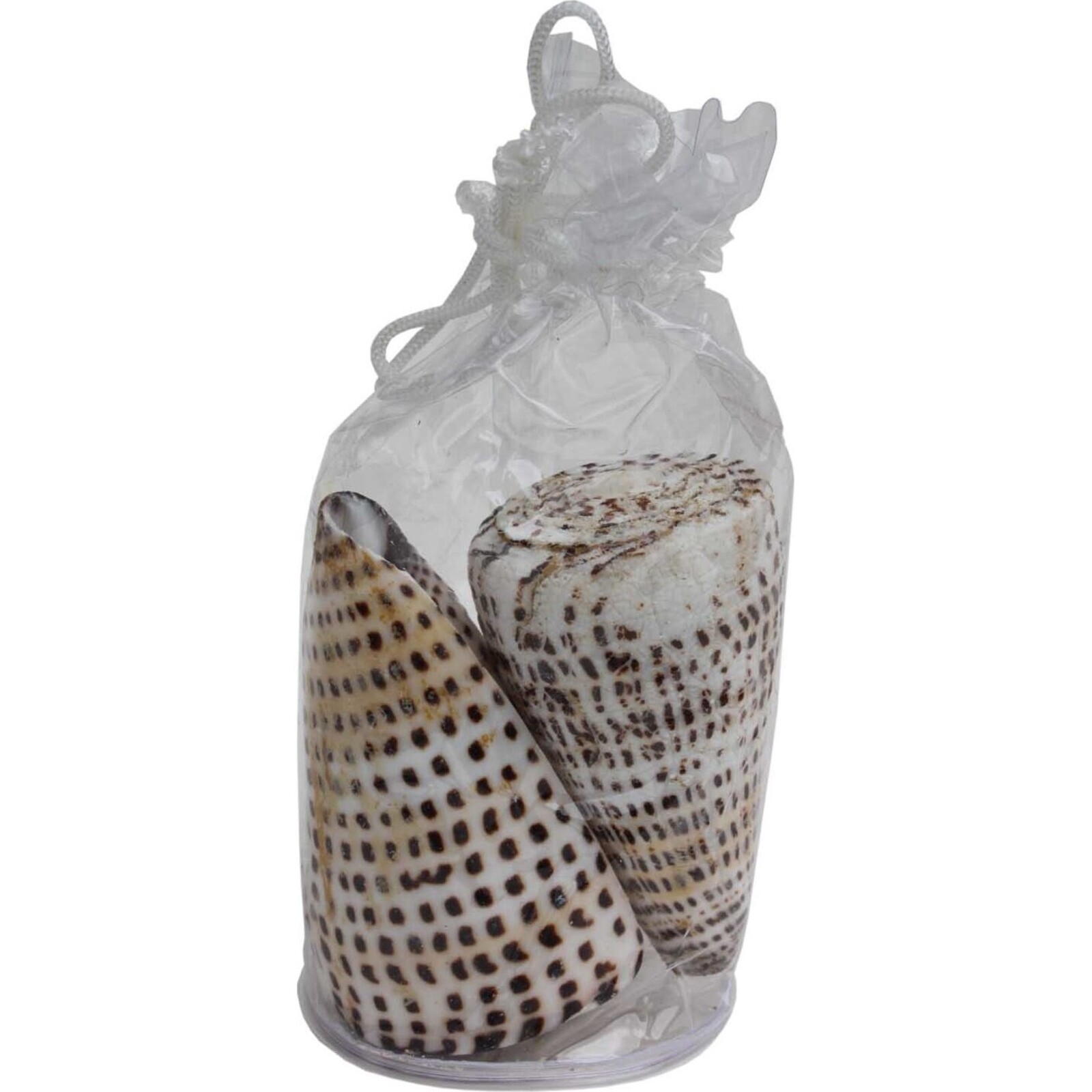 Shell Bag - Spot Cones - set 2