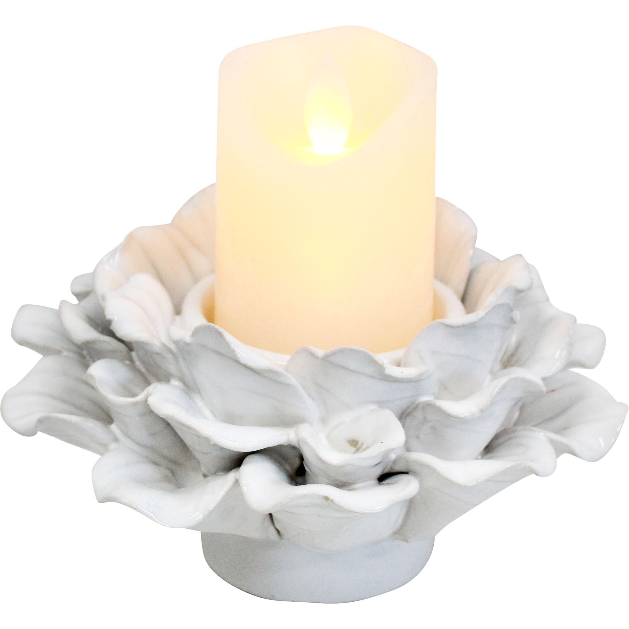 Echeveria Tealight Ivory