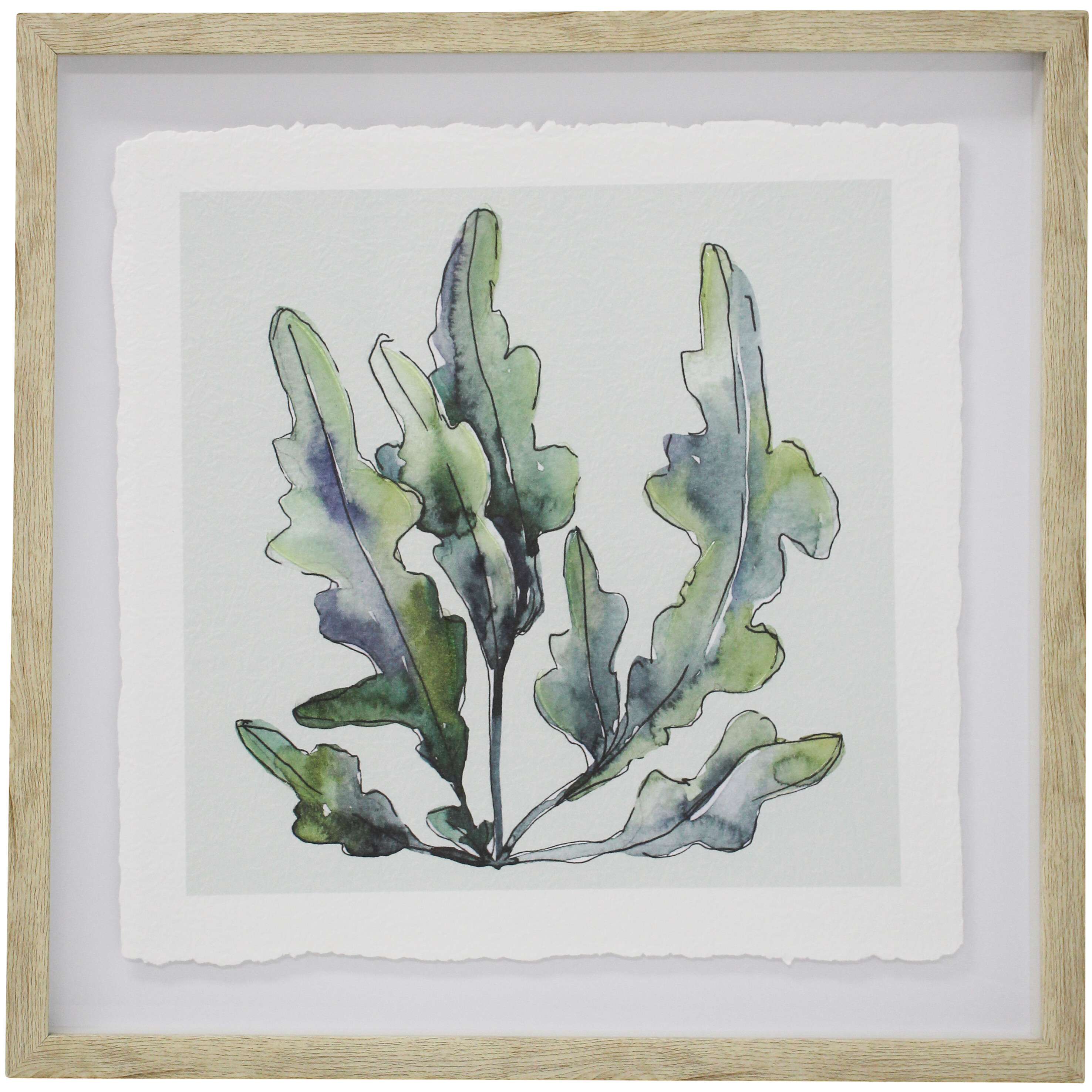 Framed Print Seaweed 1