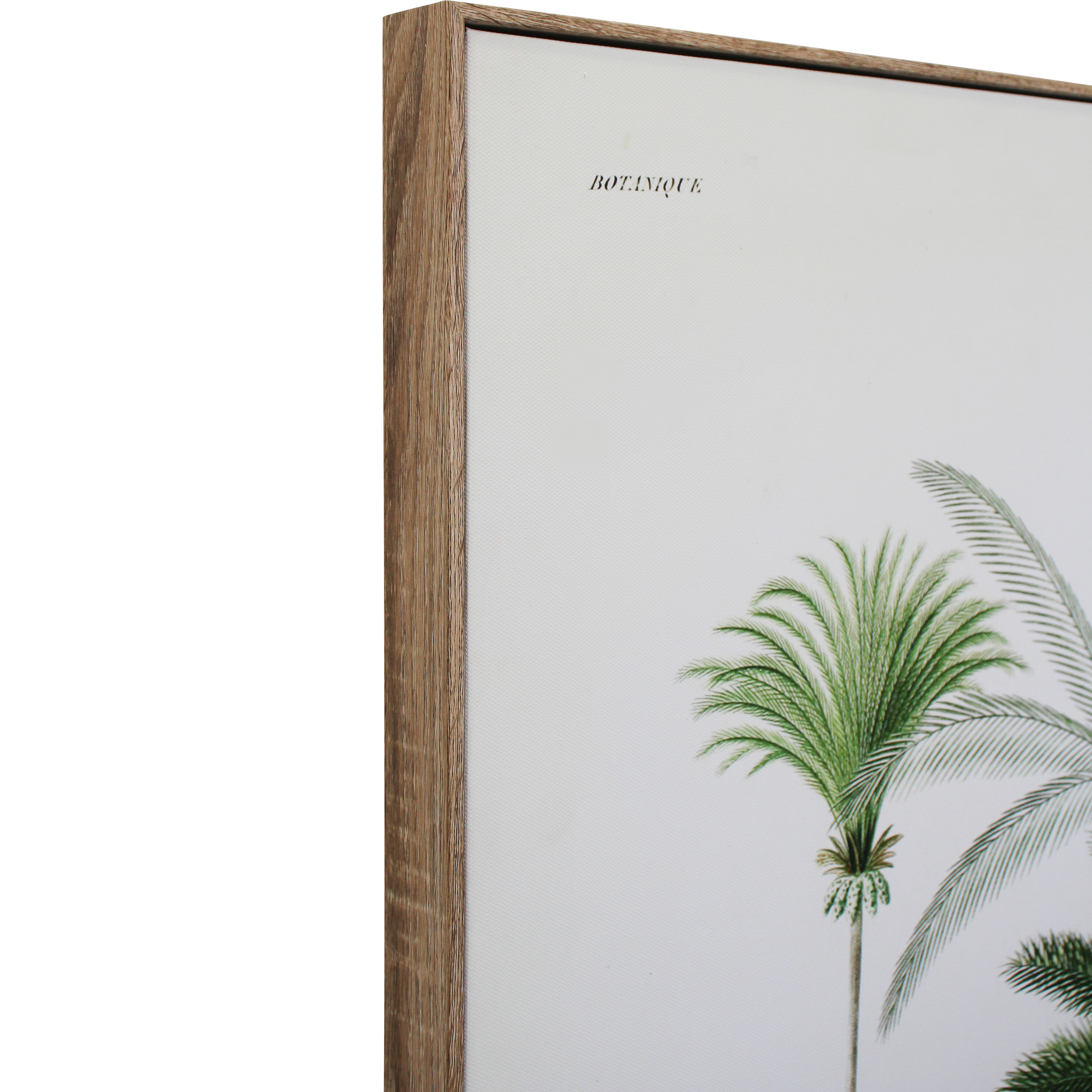 Framed Canvas Botanic 2