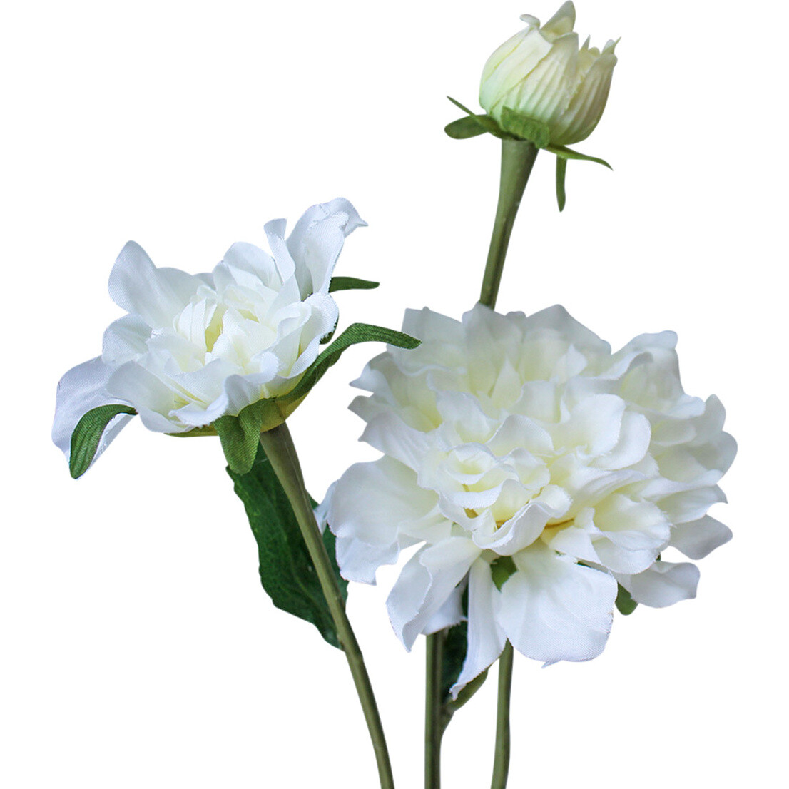 Stem Peonies White Med