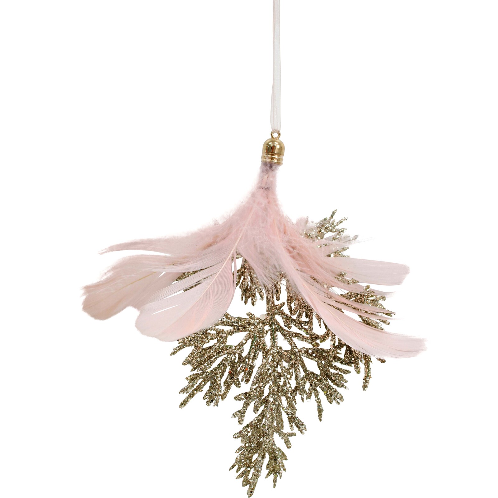 Hanging Feather Coral