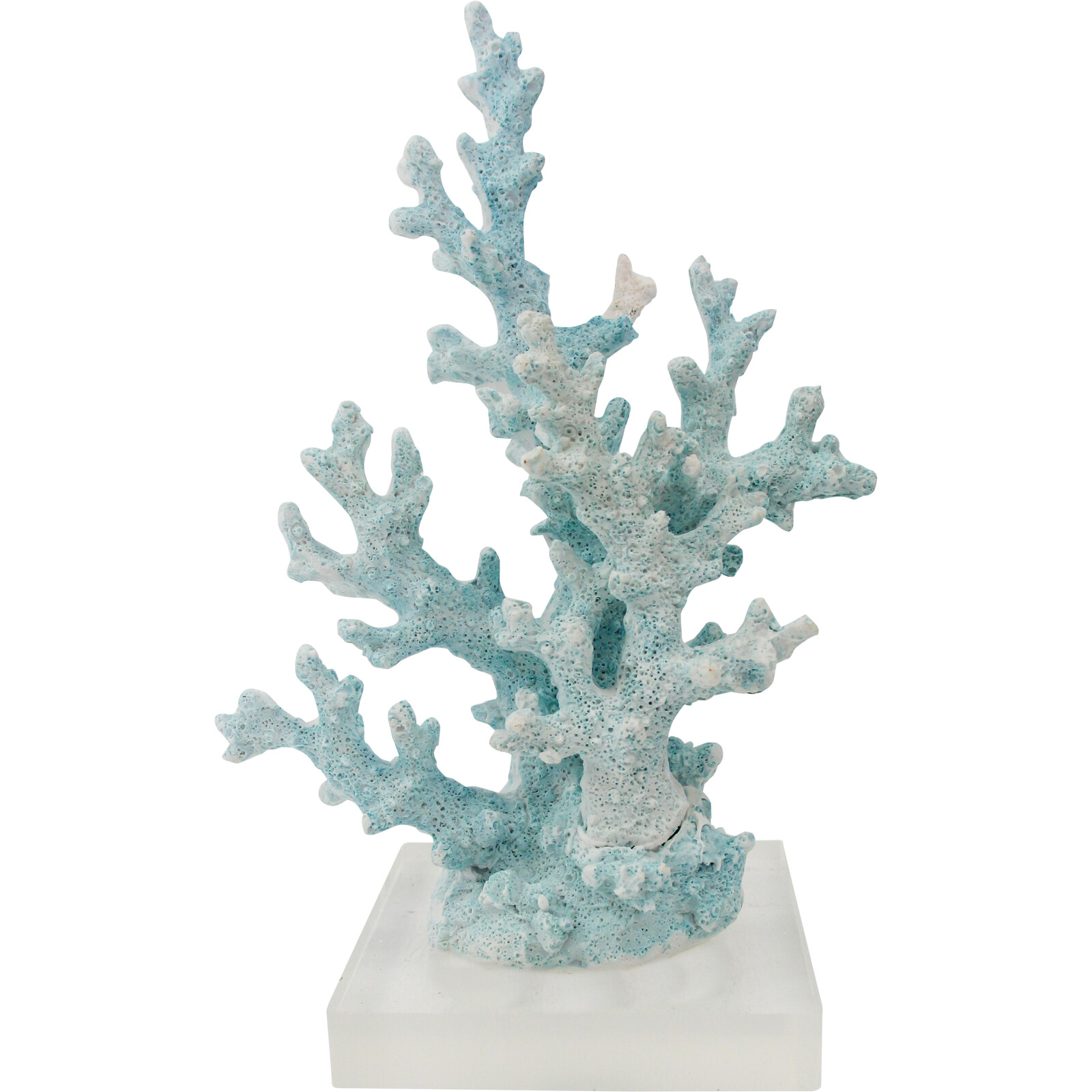 Coral Branching Ice Sml