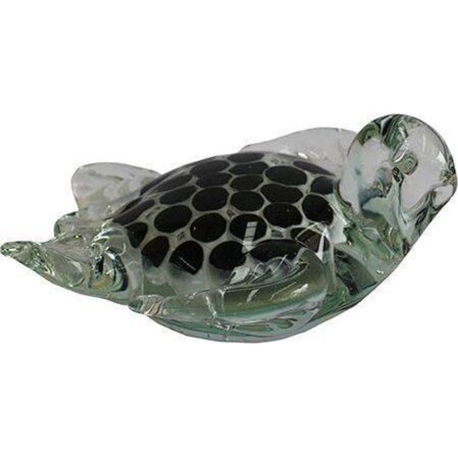 Glass Turtle Black