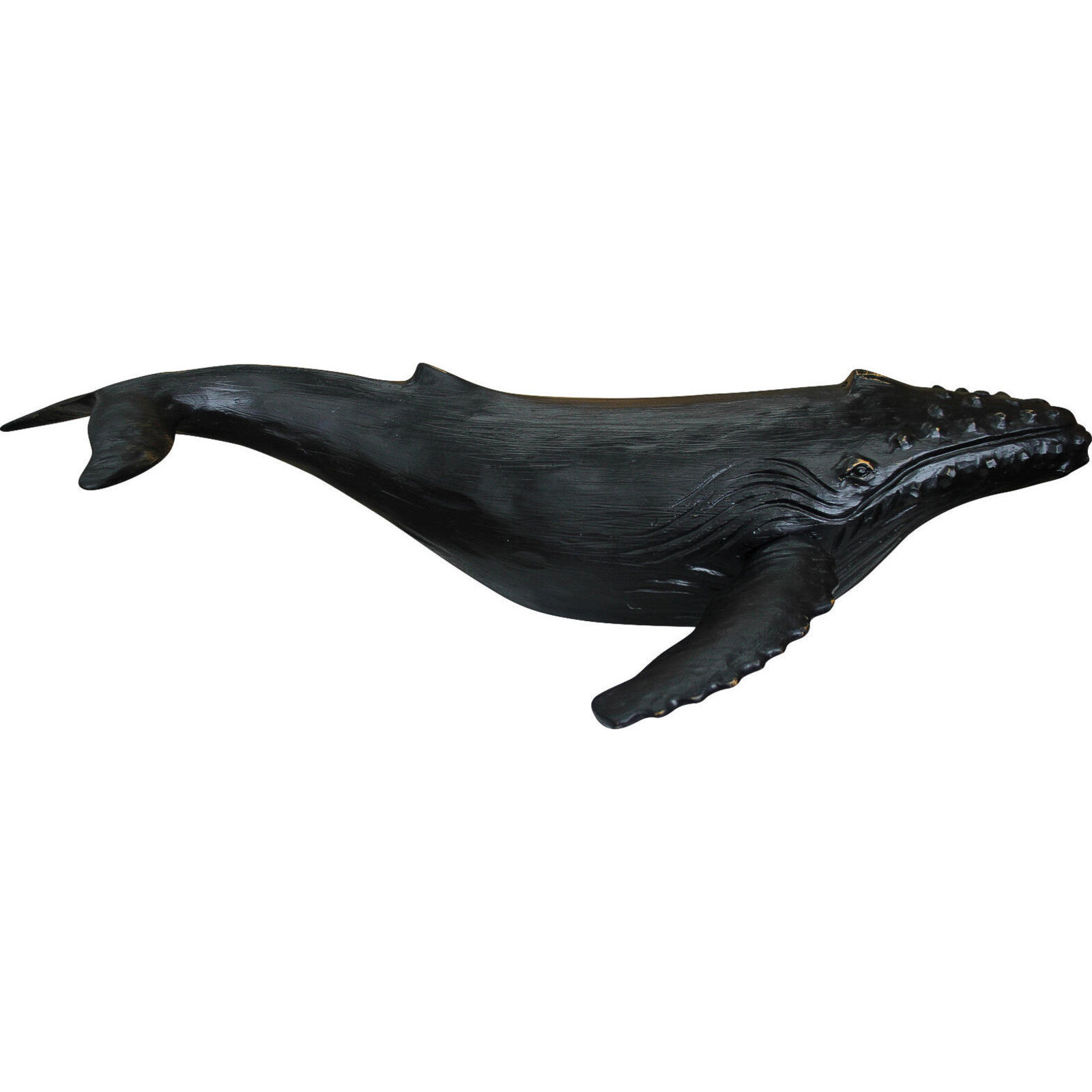 Majestic Whale Dark Med