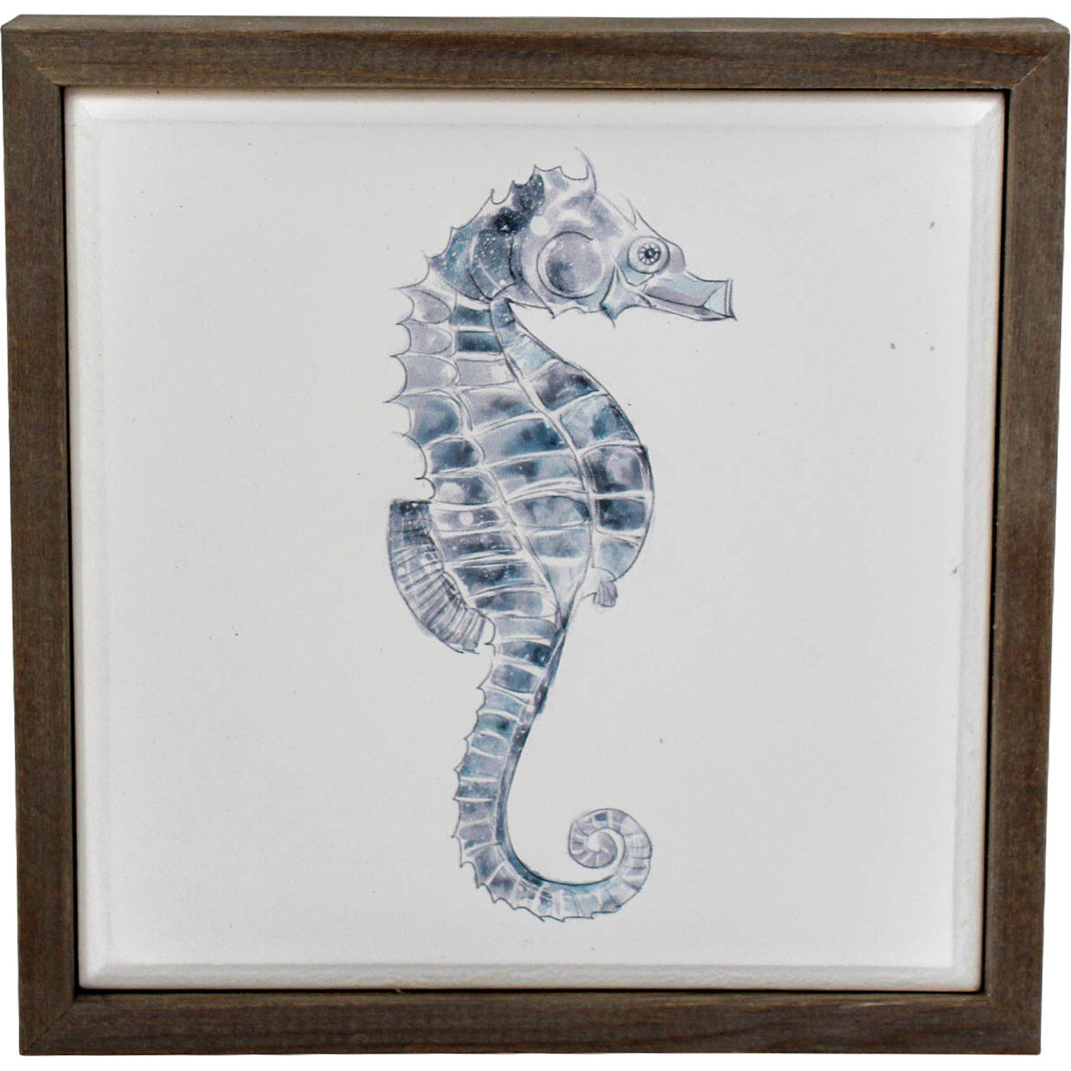 Framed Seahorse Sml