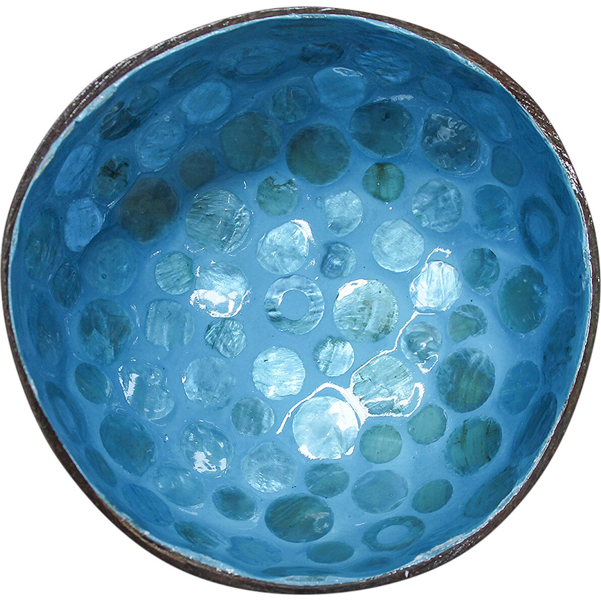 Coco Shell Dot Blue