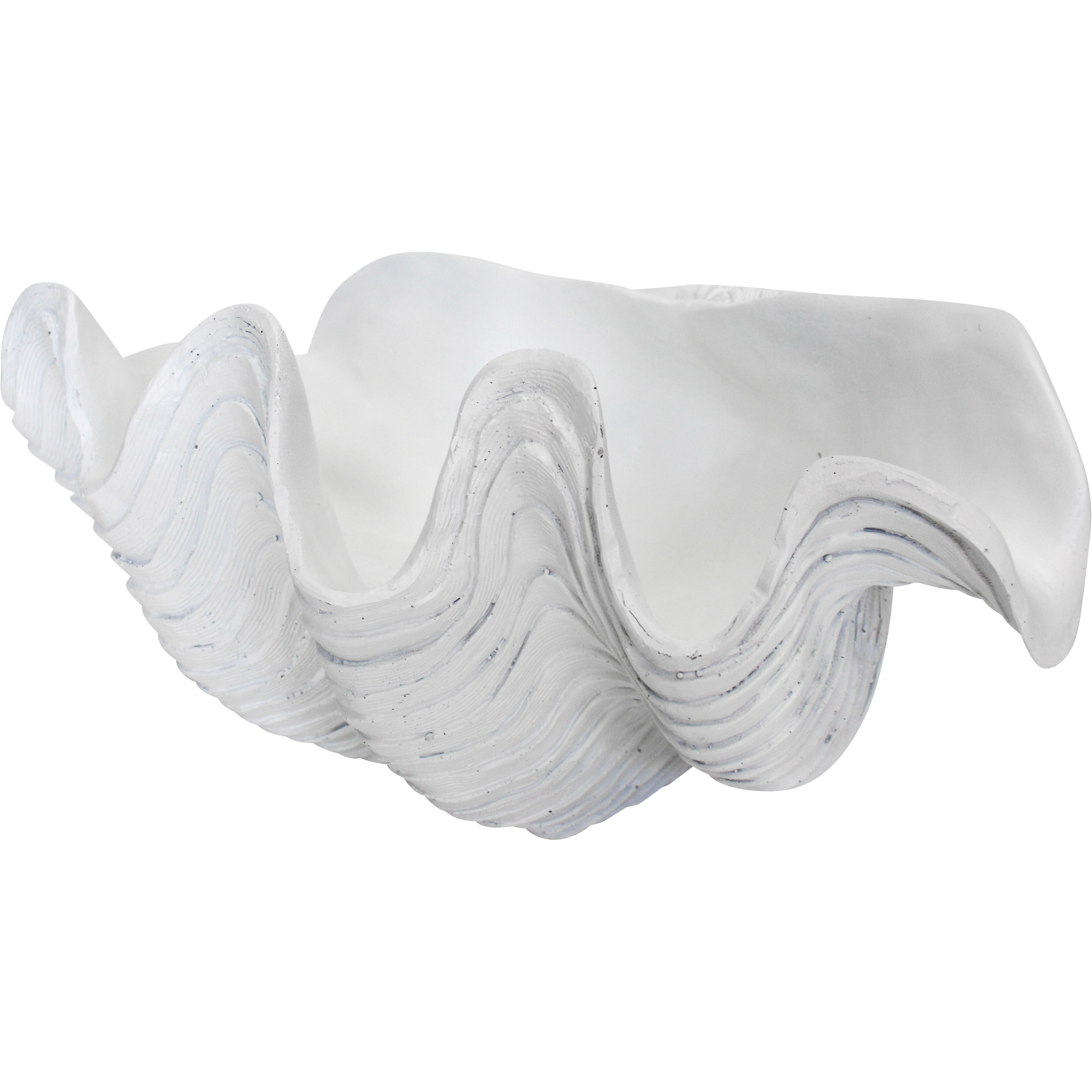 Clam Shell Decor