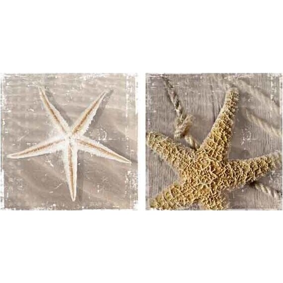 Canvas - Sandy Starfish - set 2