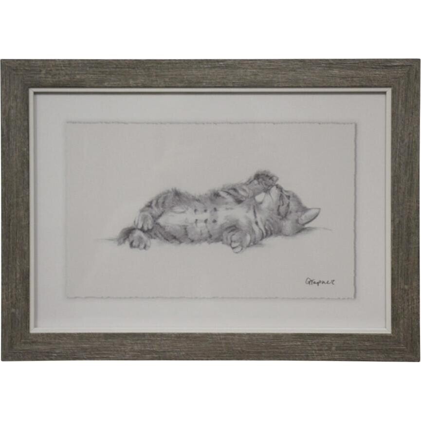 Framed Print Kitten 3