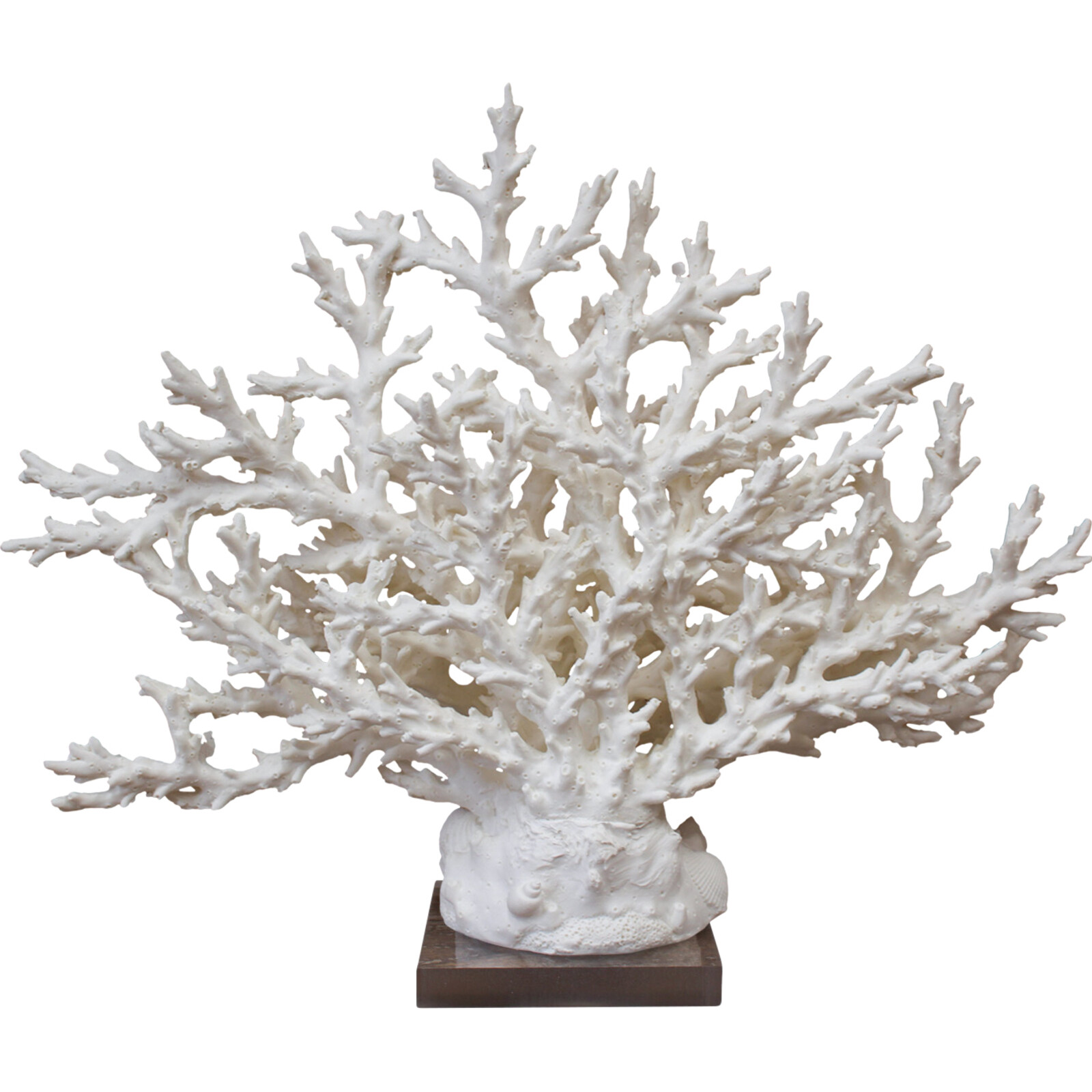 Coral Cosumel White
