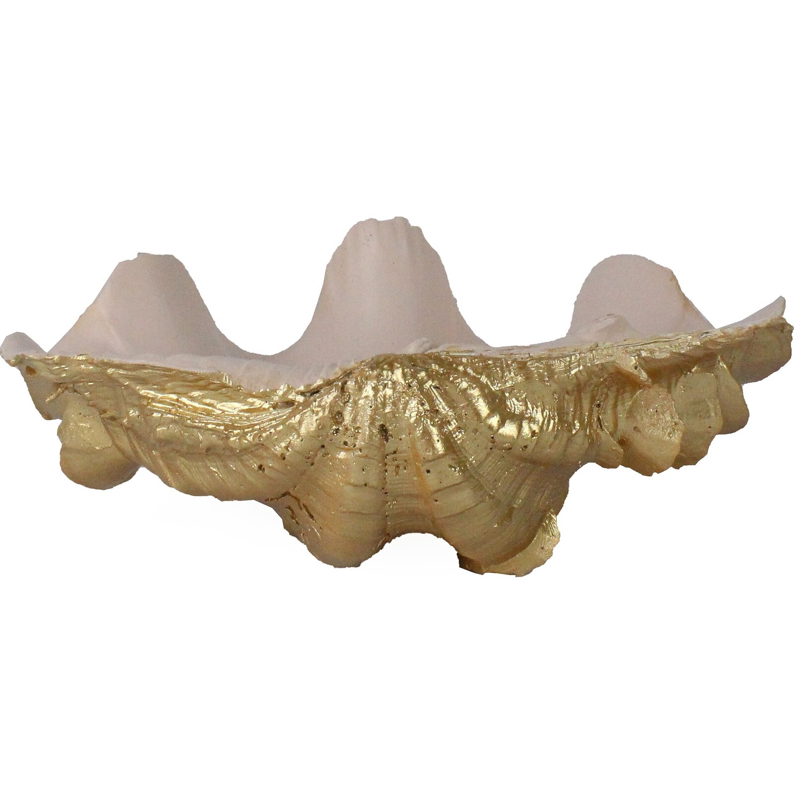 Clam Shell Pink/ Gold Sml