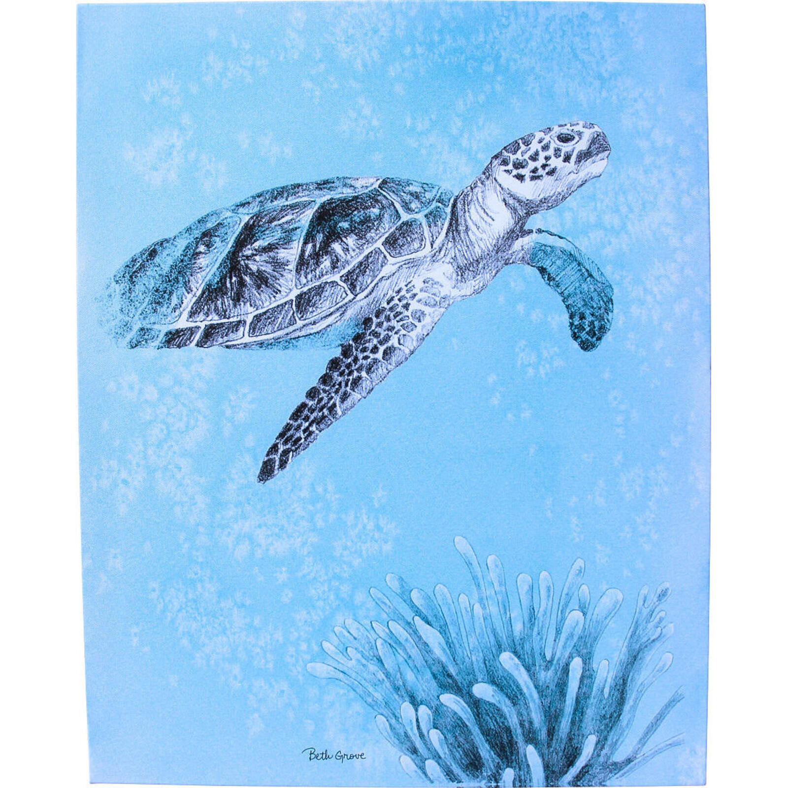 Canvas Turtle Blue