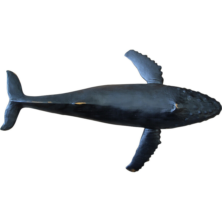 Majestic Whale Dark