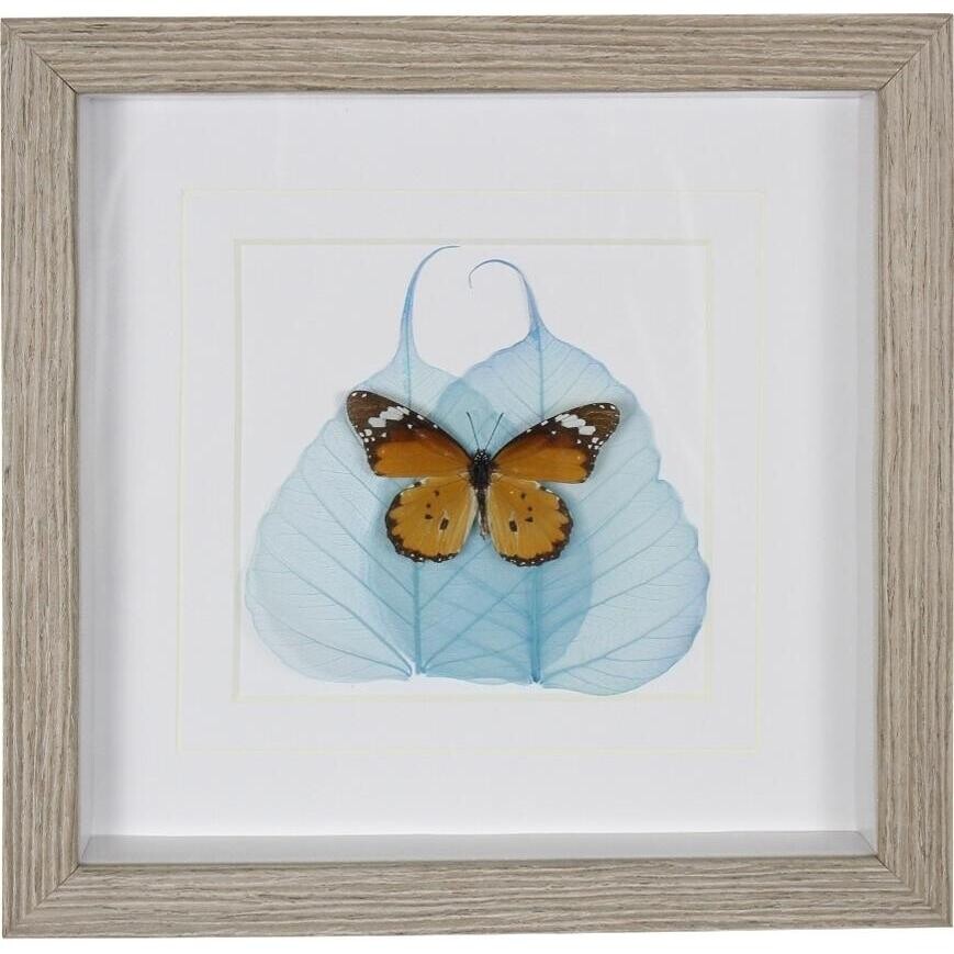 Framed Butterfly Wall Art 2