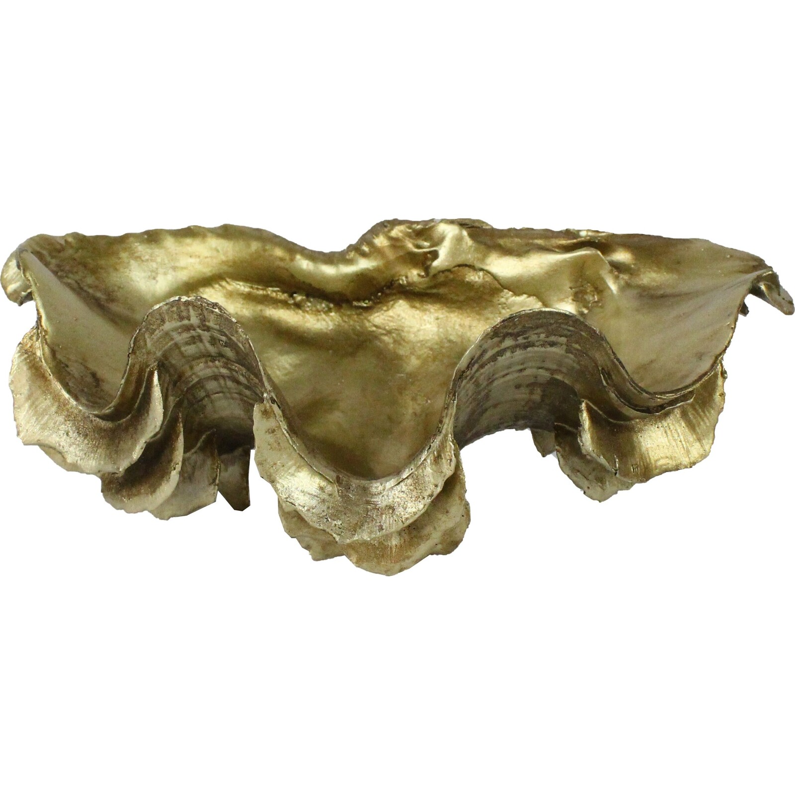Clam Shell Gold Med