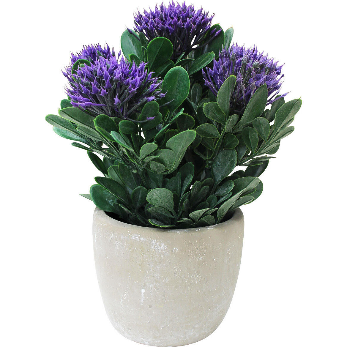 Artificial Flowering Purple