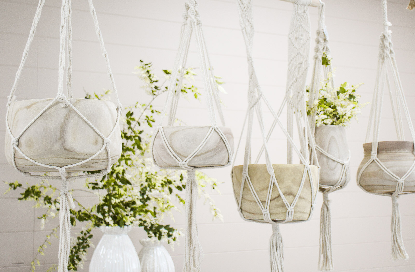 Hanging Macrame Bowl Stem Low