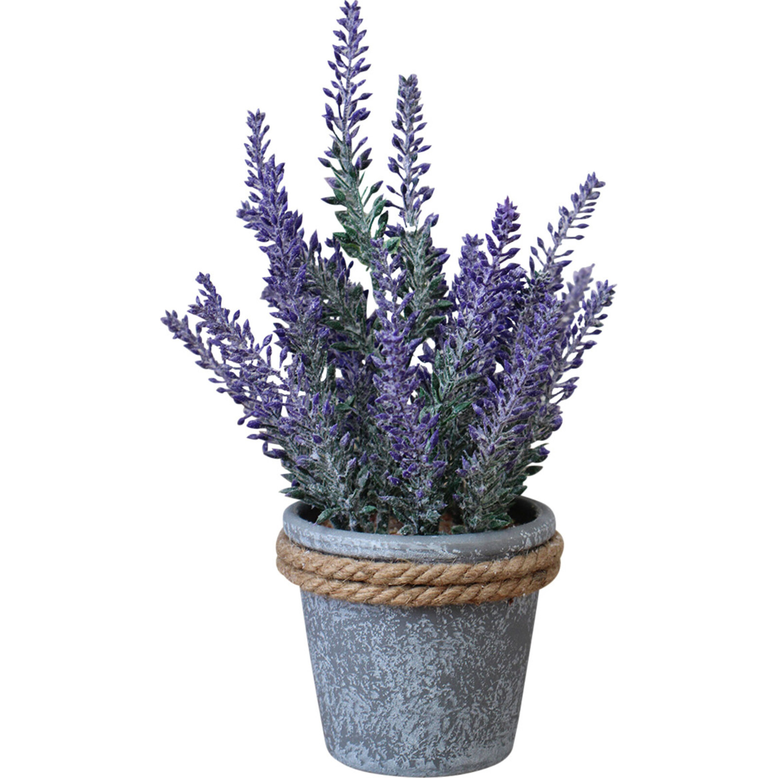 Lavender Pot w/ Rope