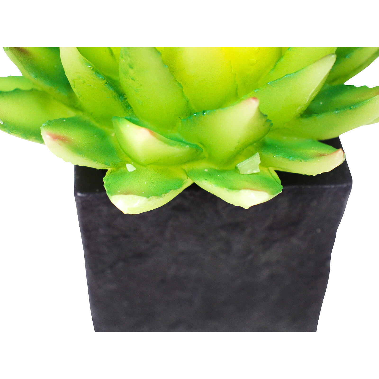 Candle Succulent Sq Pot 